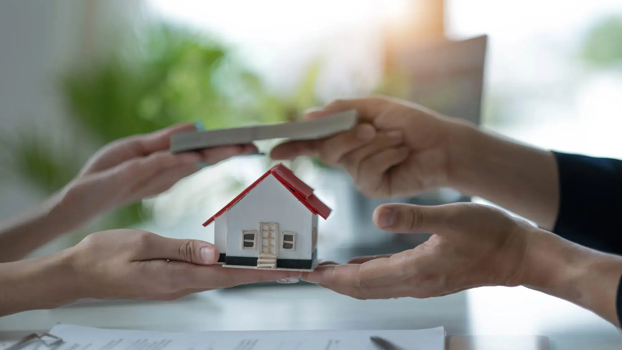 Insurance Claim Support