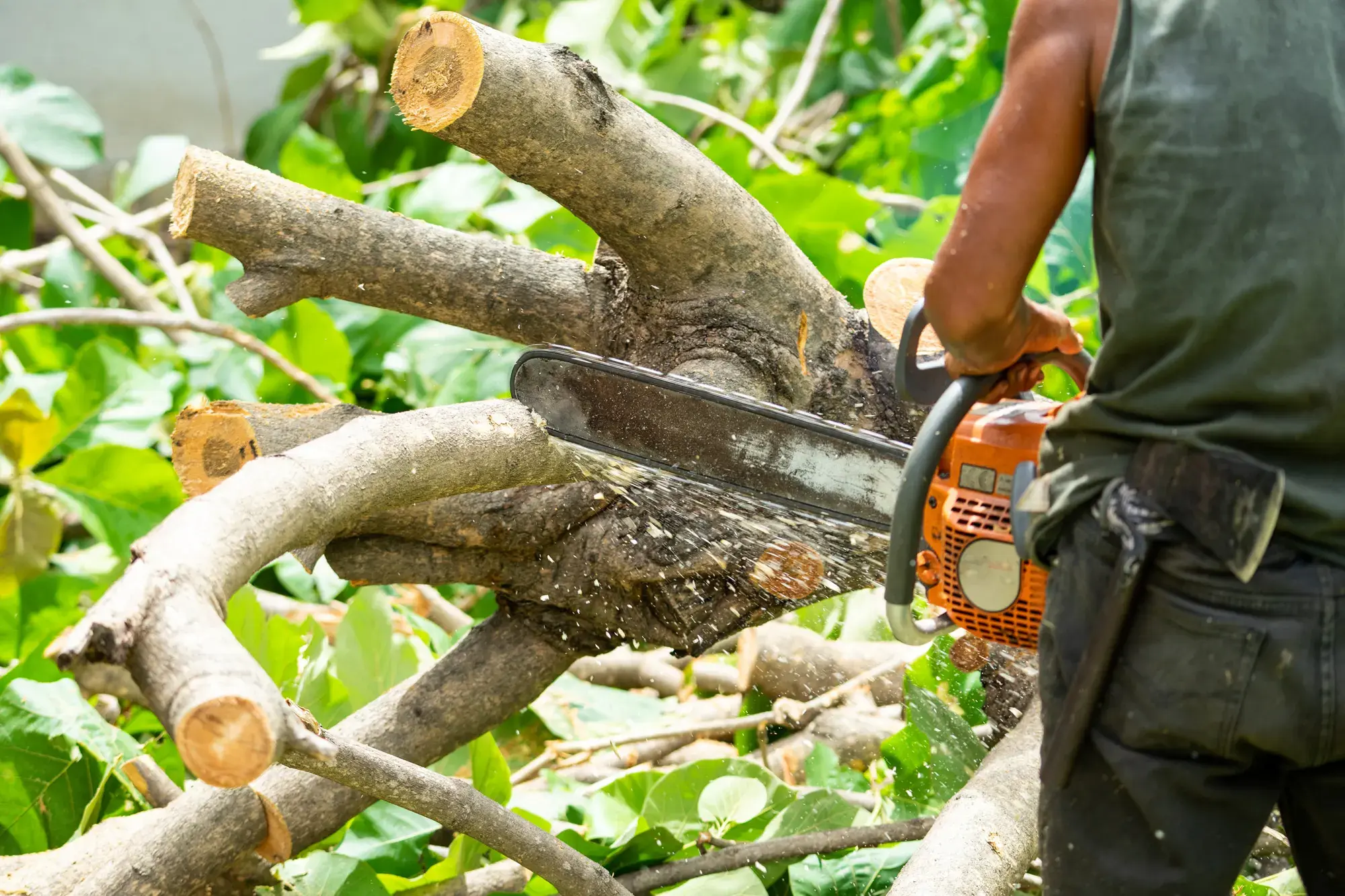 Storm Damage Response