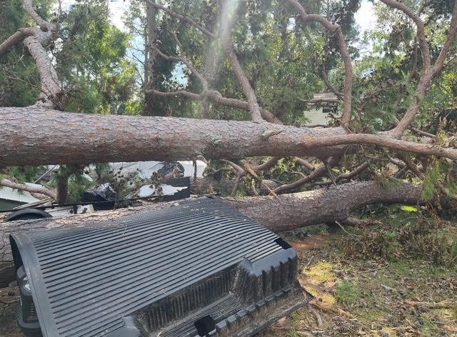tree falls on house from storm