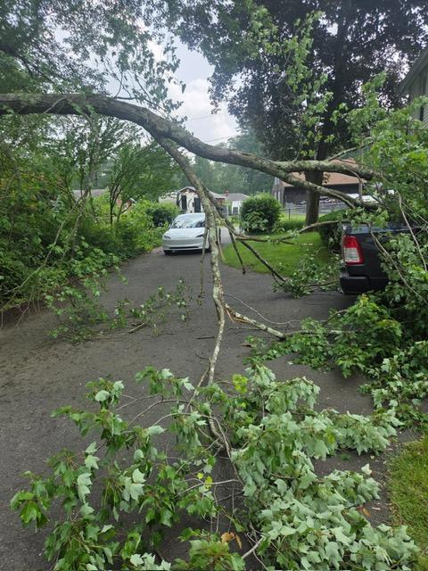 storm damage