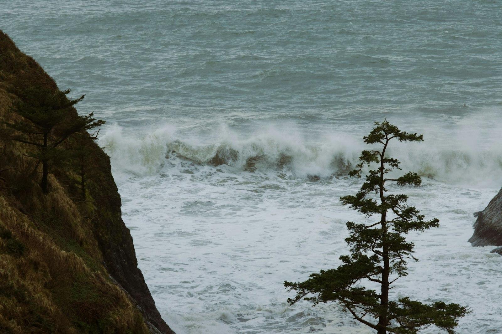 Crashing ocean waves against a rocky coastline with trees