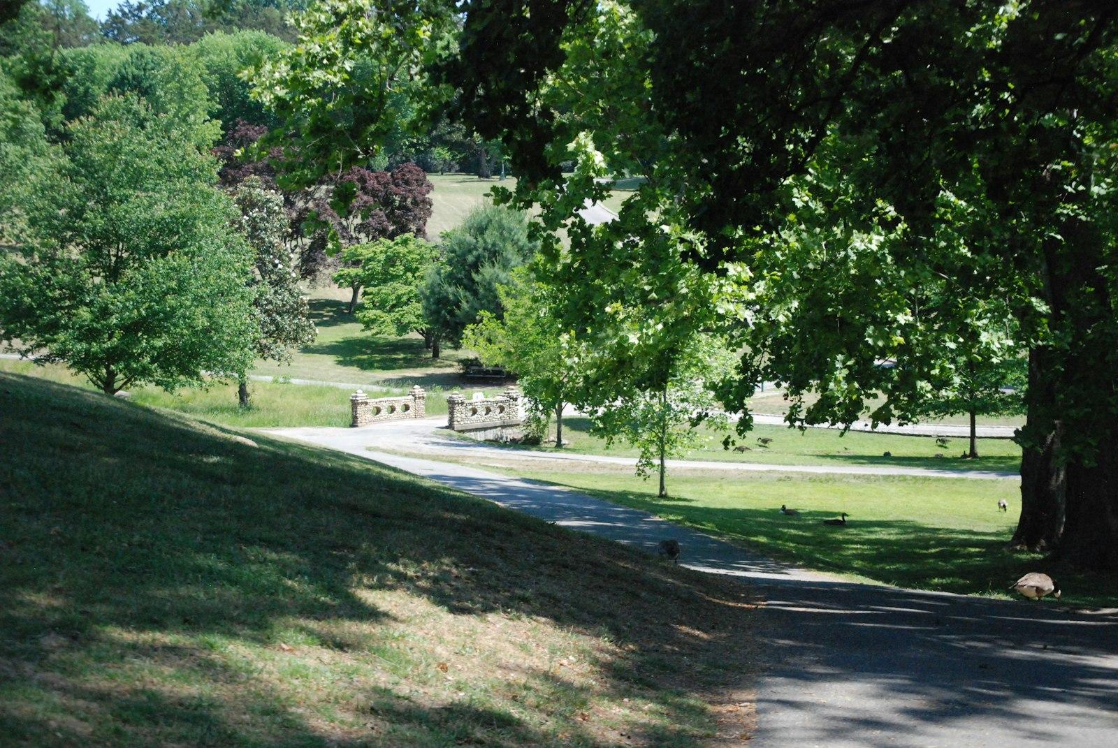 A winding path through a sunny park with green trees.