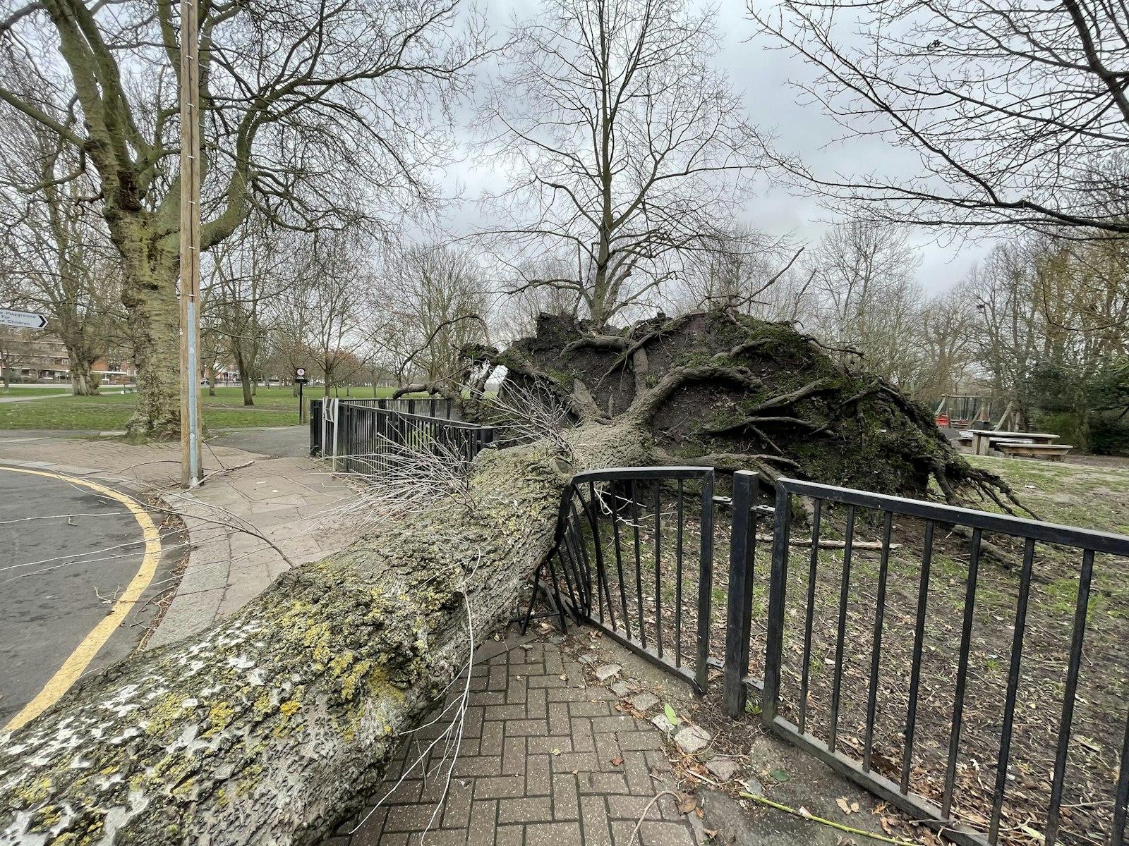 A large tree that has fallen over a fence