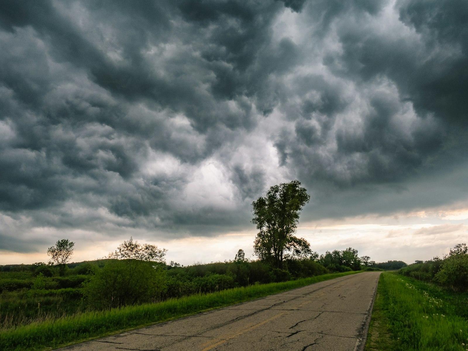 Grey concrete road between green leaf trees and plants under nimbus clouds at daytime