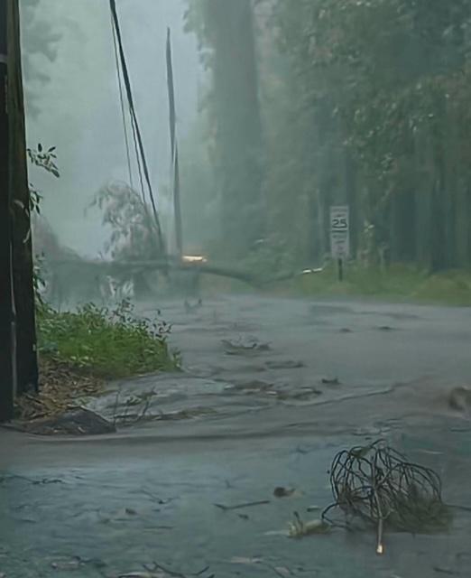 storm damage