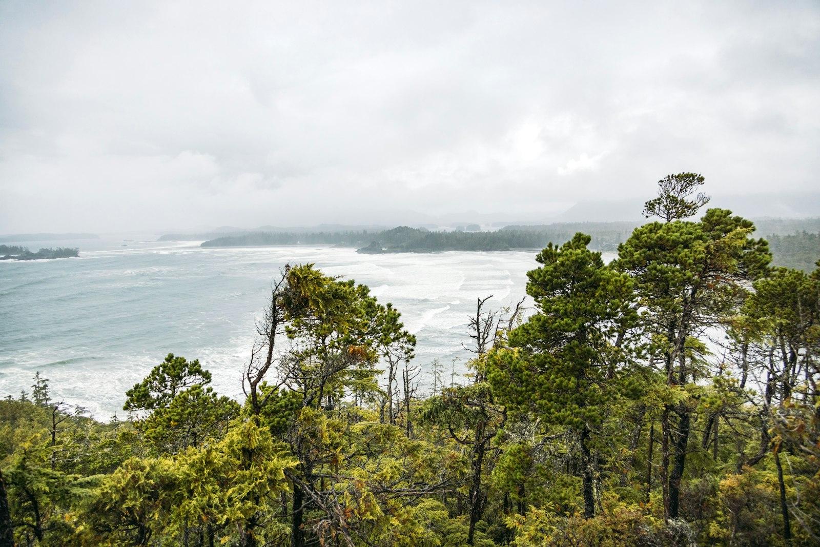 Green trees overlooking a stormy ocean under a cloudy sky