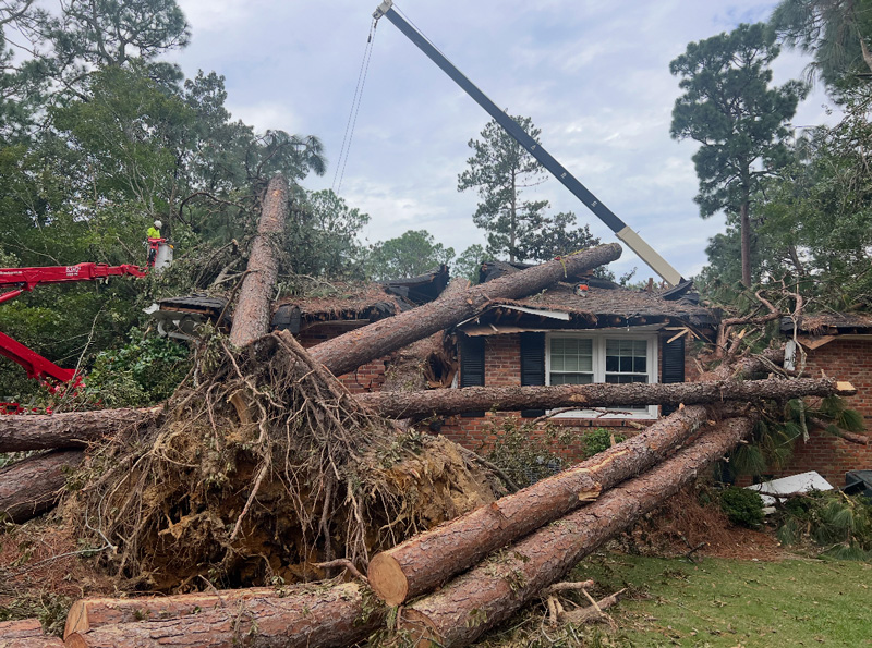 Storm-damaged tree removal in Massachusetts